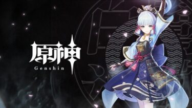 【原神】綾華の使い方わからん…